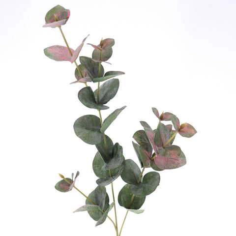 Rama Flor Eucalyptus Kaki