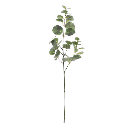 Rama Flor Eucalyptus Verde